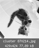 cluster 870214.jpg