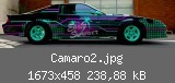 Camaro2.jpg
