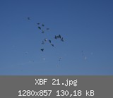 XBF 21.jpg