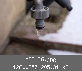 XBF 26.jpg