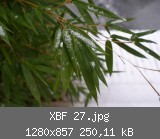 XBF 27.jpg