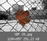 XBF 28.jpg