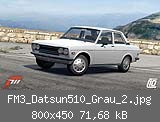FM3_Datsun510_Grau_2.jpg