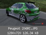Peugeot 206RC.JPG
