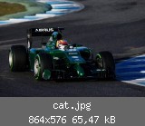 cat.jpg