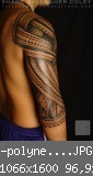 -polynesian-sleeve-.JPG