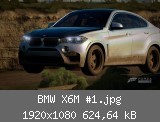 BMW X6M #1.jpg