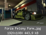 Forza Felony Form.jpg