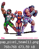 pap_pixel_team[1].png